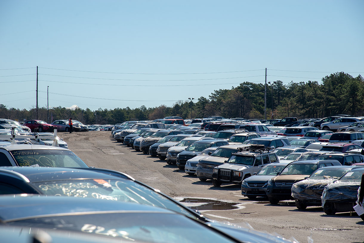 vehicles auctions